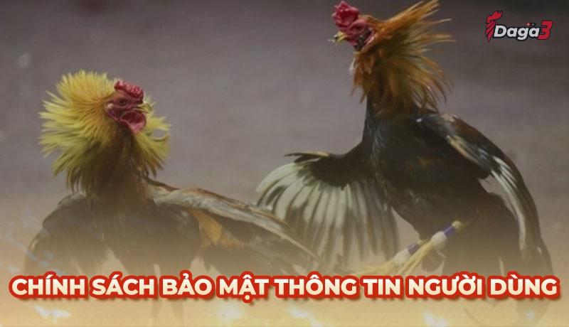 Chính sách bảo mật thông tin người dùng tại catcrisis.co