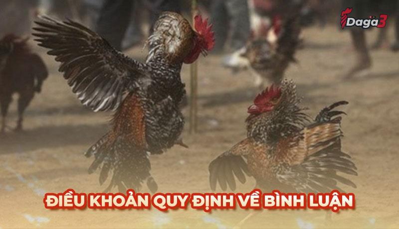 Người dùng cần tuân thủ một số điều khoản khi bình luận trên catcrisis.co