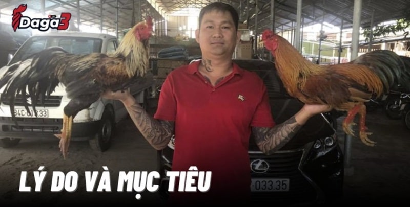 Mít Trà Cú sáng lập trang đá gà trực tiếp catcrisis.co